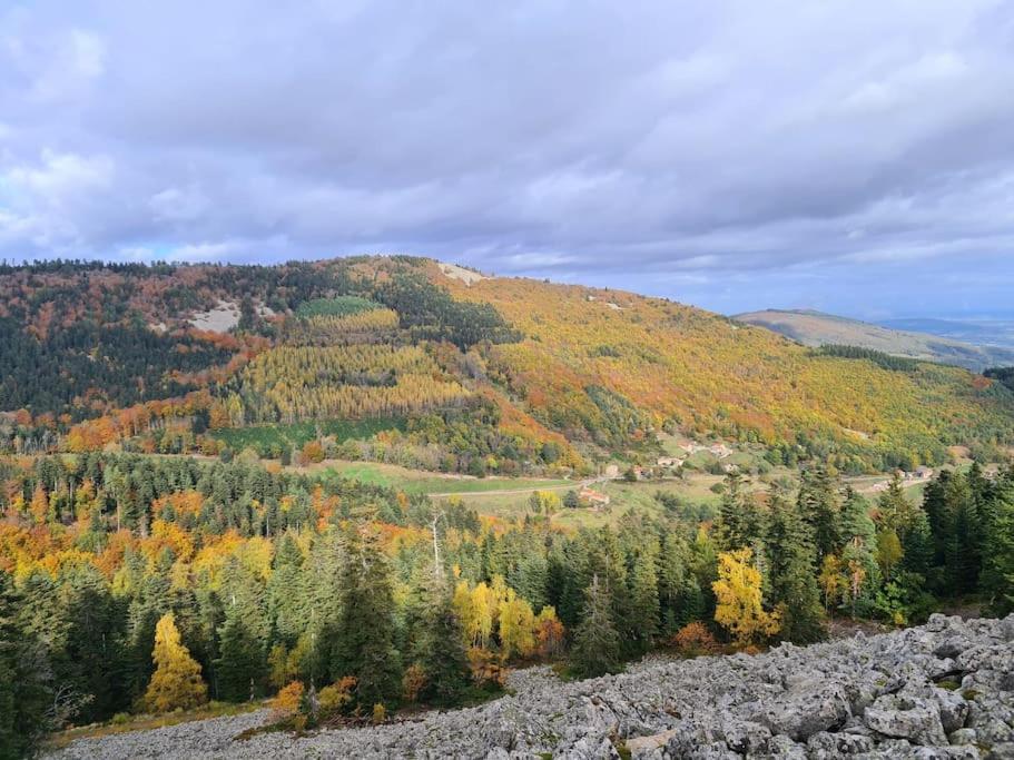 Gite De 70M² Avec Vue Sur Le Massif Du Pilat Clonas-sur-Vareze المظهر الخارجي الصورة