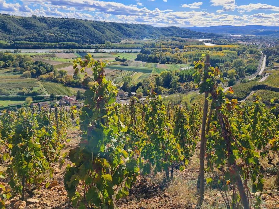 Gite De 70M² Avec Vue Sur Le Massif Du Pilat Clonas-sur-Vareze المظهر الخارجي الصورة