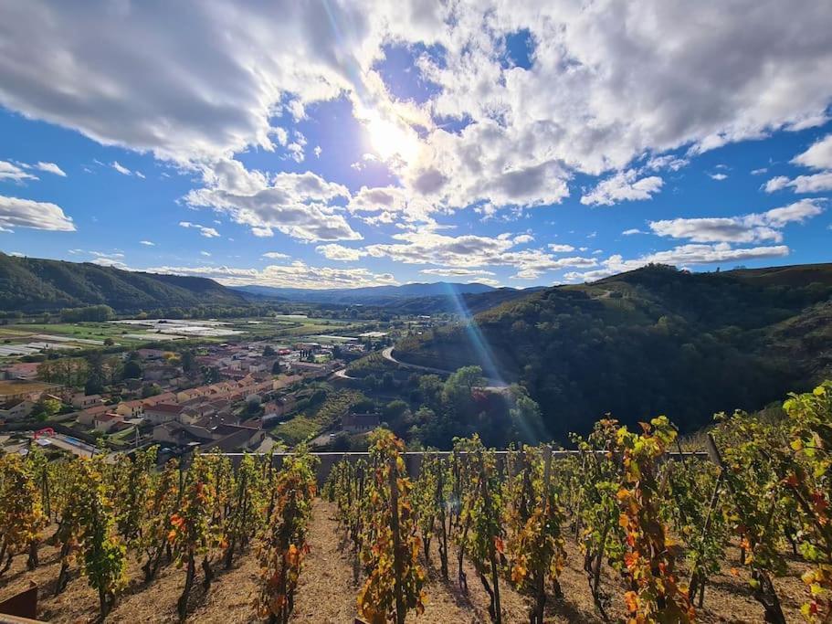 Gite De 70M² Avec Vue Sur Le Massif Du Pilat Clonas-sur-Vareze المظهر الخارجي الصورة