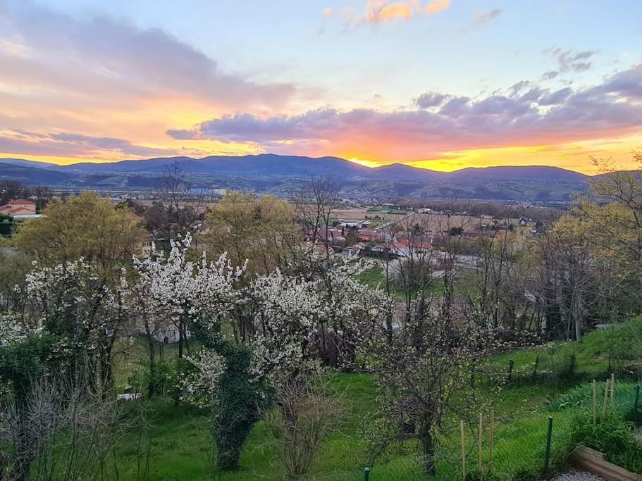 Gite De 70M² Avec Vue Sur Le Massif Du Pilat Clonas-sur-Vareze المظهر الخارجي الصورة