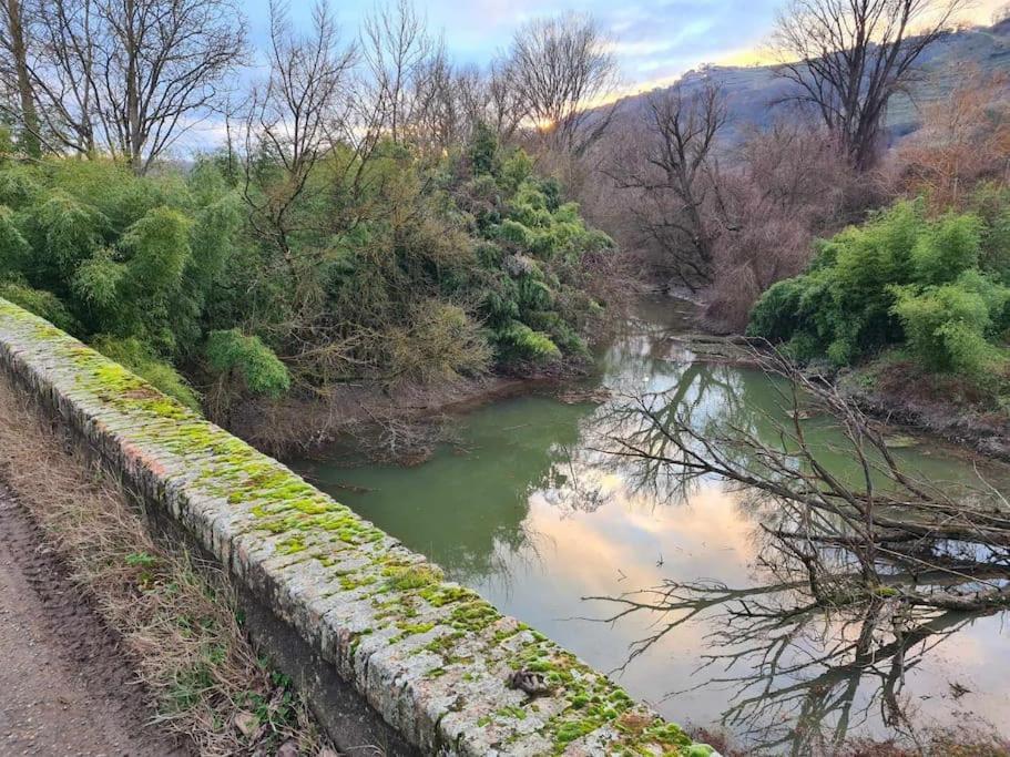 Gite De 70M² Avec Vue Sur Le Massif Du Pilat Clonas-sur-Vareze المظهر الخارجي الصورة