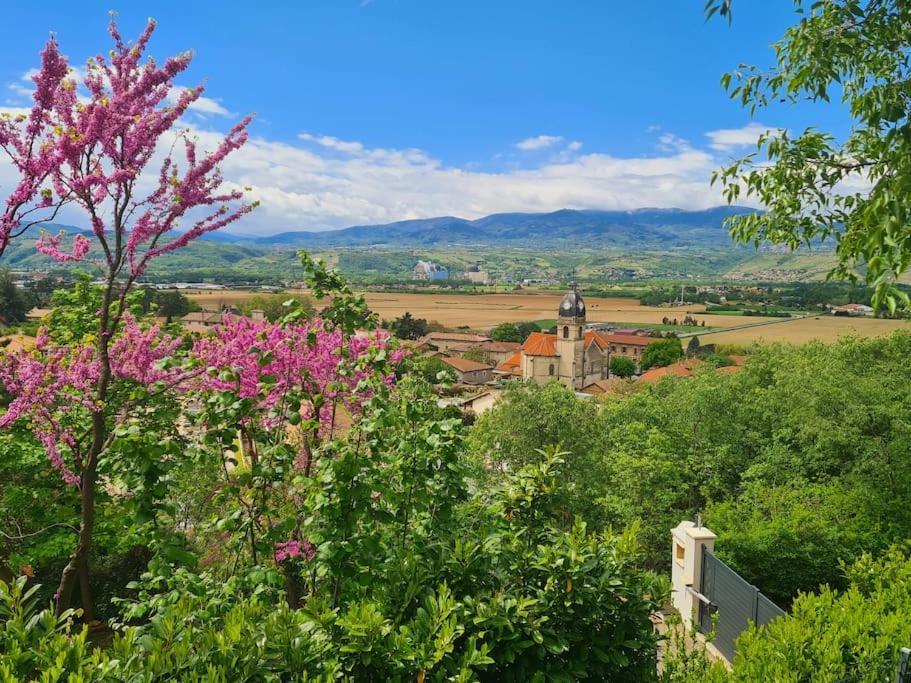 Gite De 70M² Avec Vue Sur Le Massif Du Pilat Clonas-sur-Vareze المظهر الخارجي الصورة
